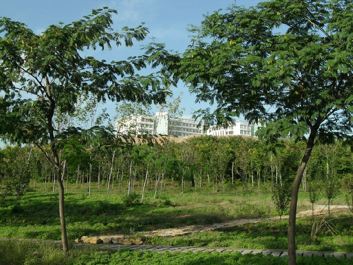 威廉希尔中文官网