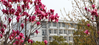 威廉希尔中文官网